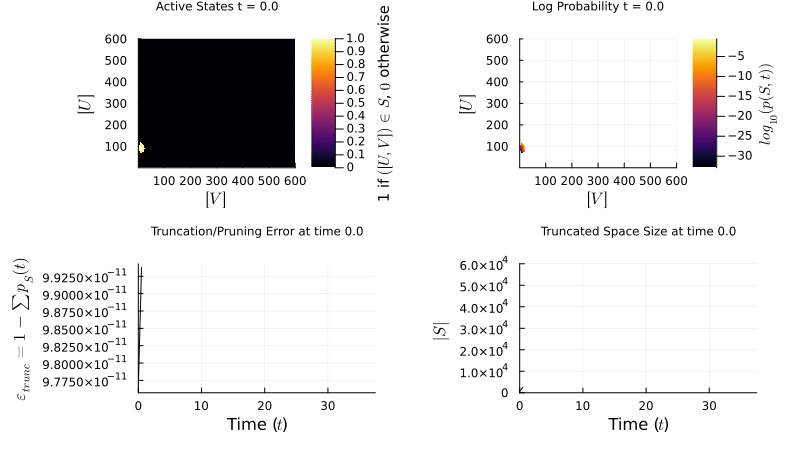 Toggle Switch Simulation
